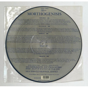Six ( Sixth ) Comm - Morthogenisis 1990 UK Version 12" Single Picture Disc Vinyl LP ***READY TO SHIP from Hong Kong***
